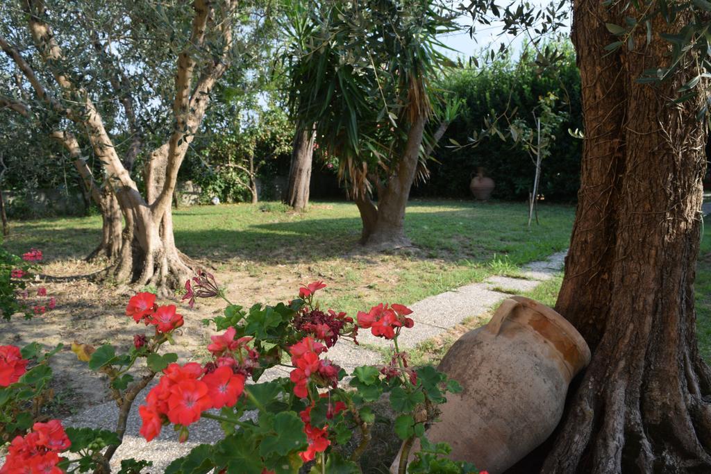 Bed and Breakfast La Convenienza Uliveto Terme Zewnętrze zdjęcie