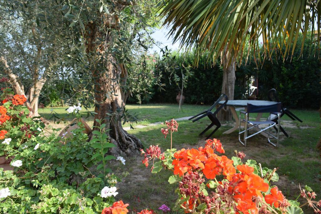 Bed and Breakfast La Convenienza Uliveto Terme Zewnętrze zdjęcie