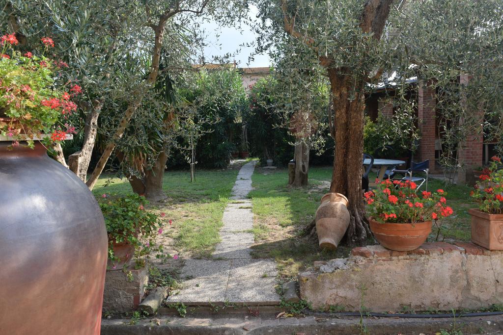 Bed and Breakfast La Convenienza Uliveto Terme Zewnętrze zdjęcie